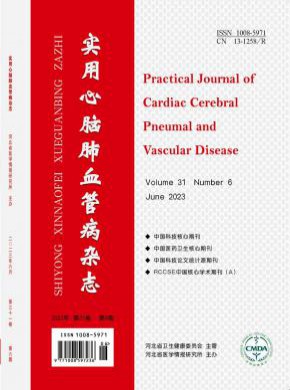 实用心脑肺血管病期刊